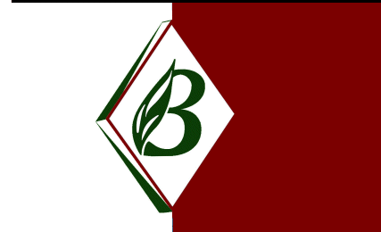 Brandt Research Consulting, LLC